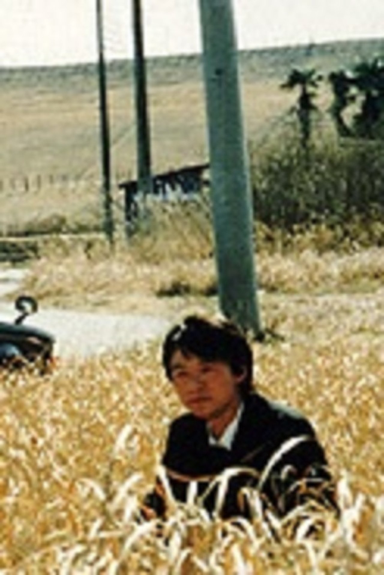 大いなる学生 大いなる学生
