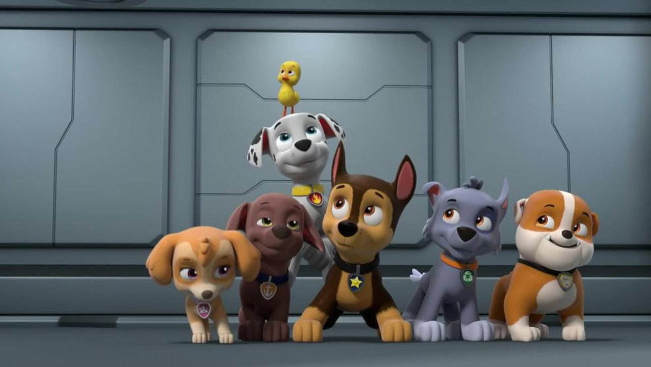 PAW Patrol 9. Sezon 5. Bölüm