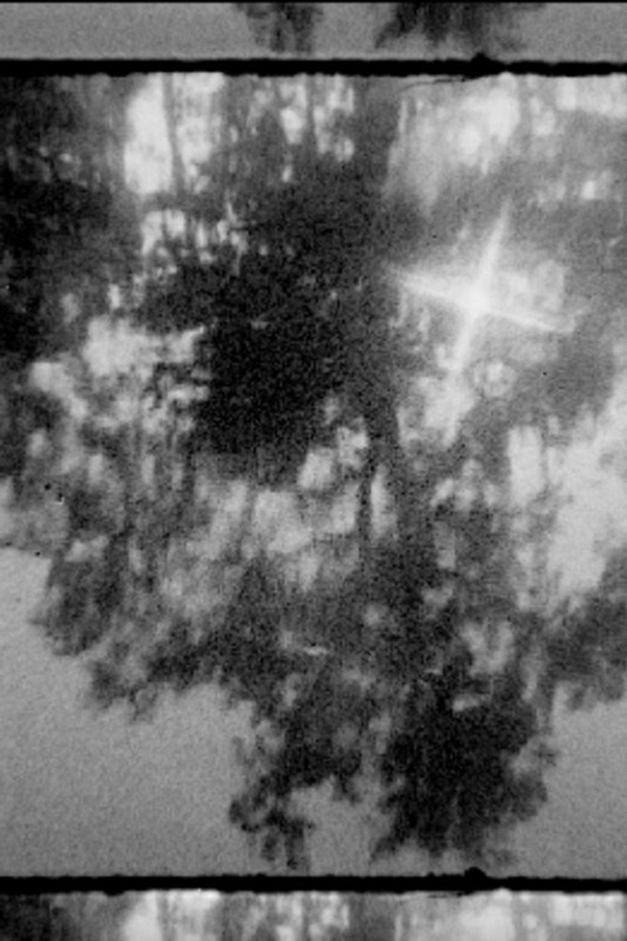 In the Darkness Backdrop