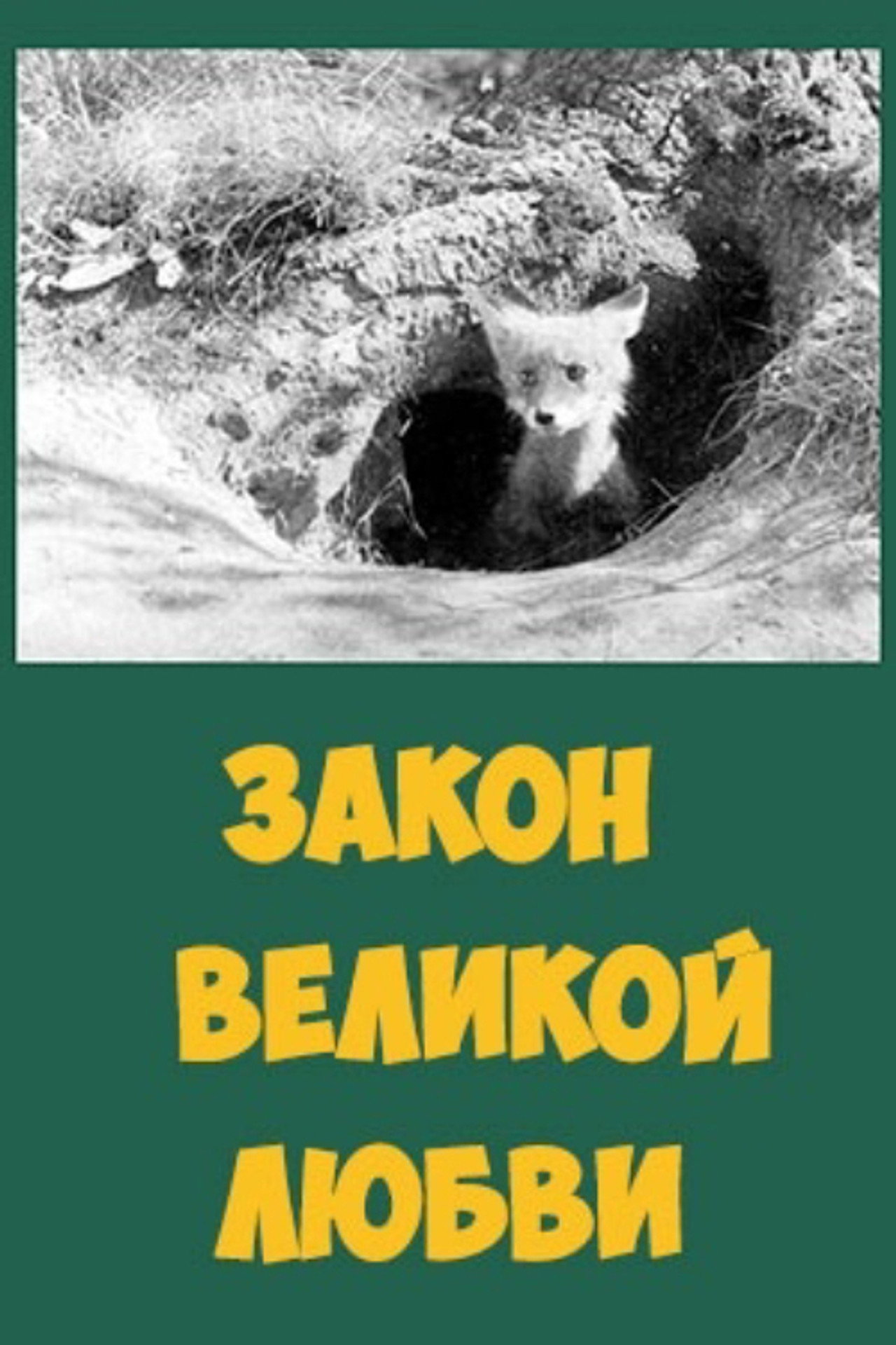 Закон великой любви filmaffisch