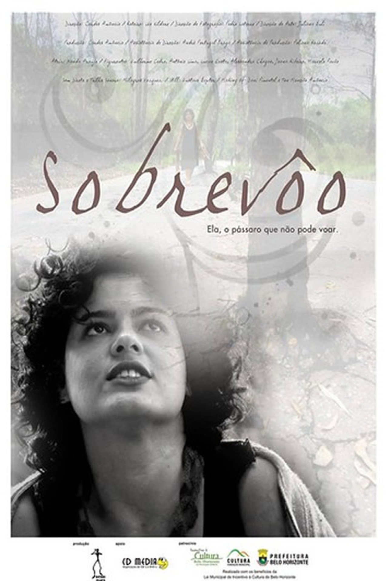 Sobrevôo filmaffisch