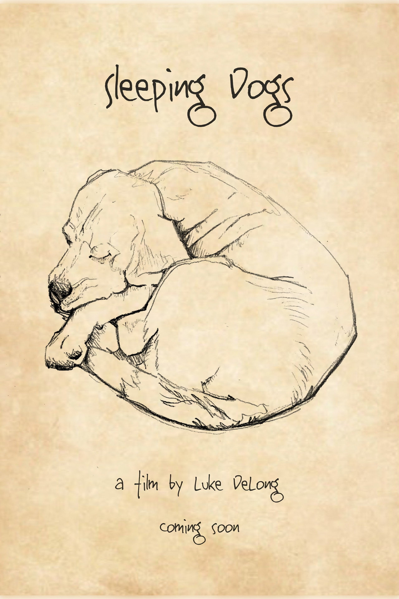 Sleeping Dogs