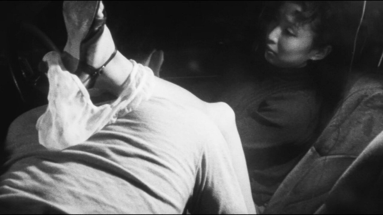 Dog still 2