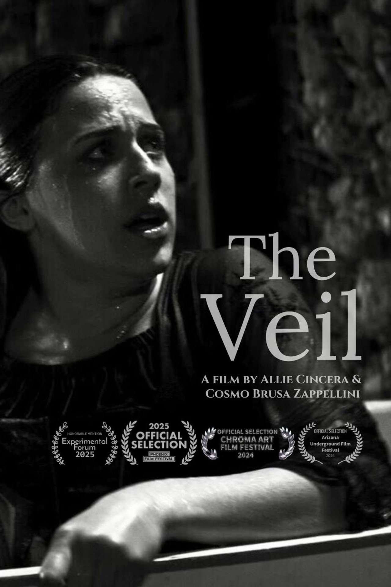 The Veil filmaffisch