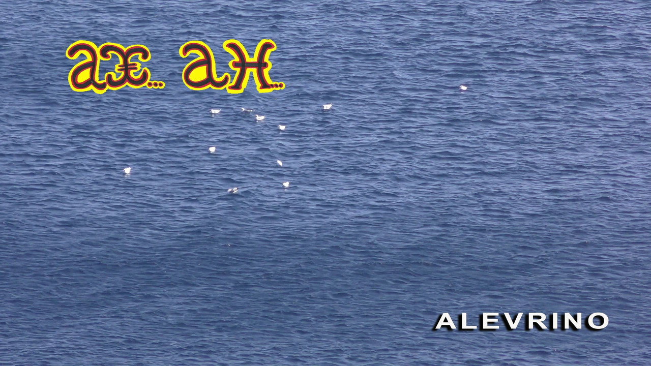ALEVRINO “The Seed of Everything” still 4