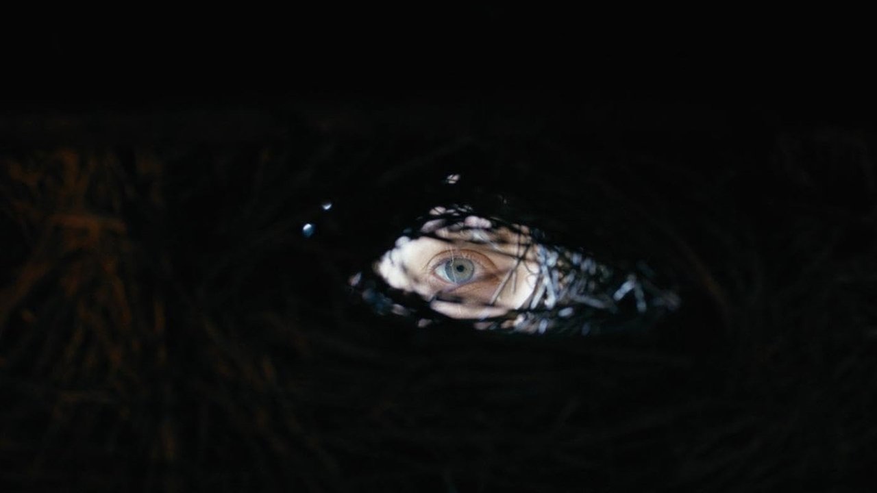 Shaman (2025)