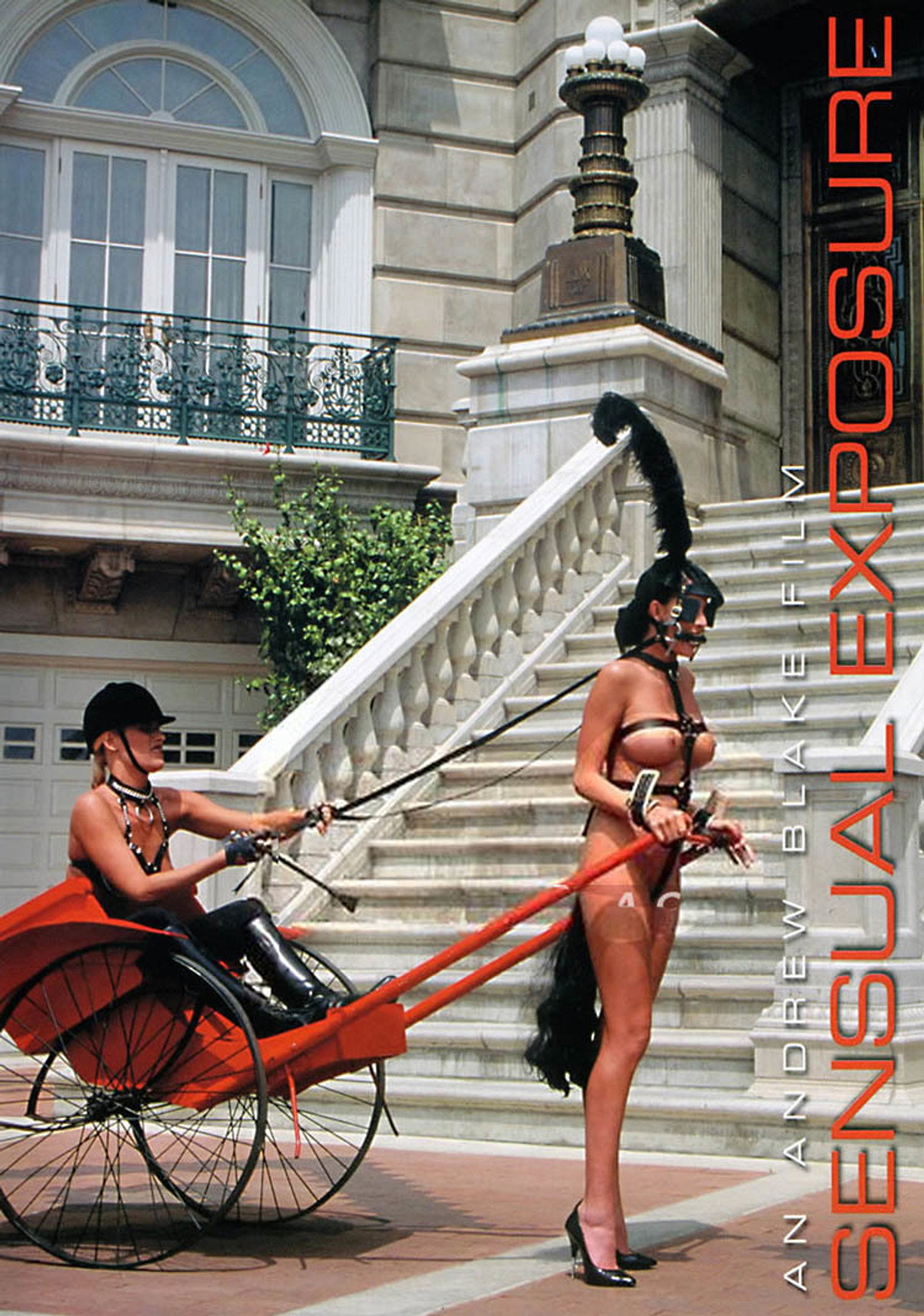 Sensual Exposure Backdrop