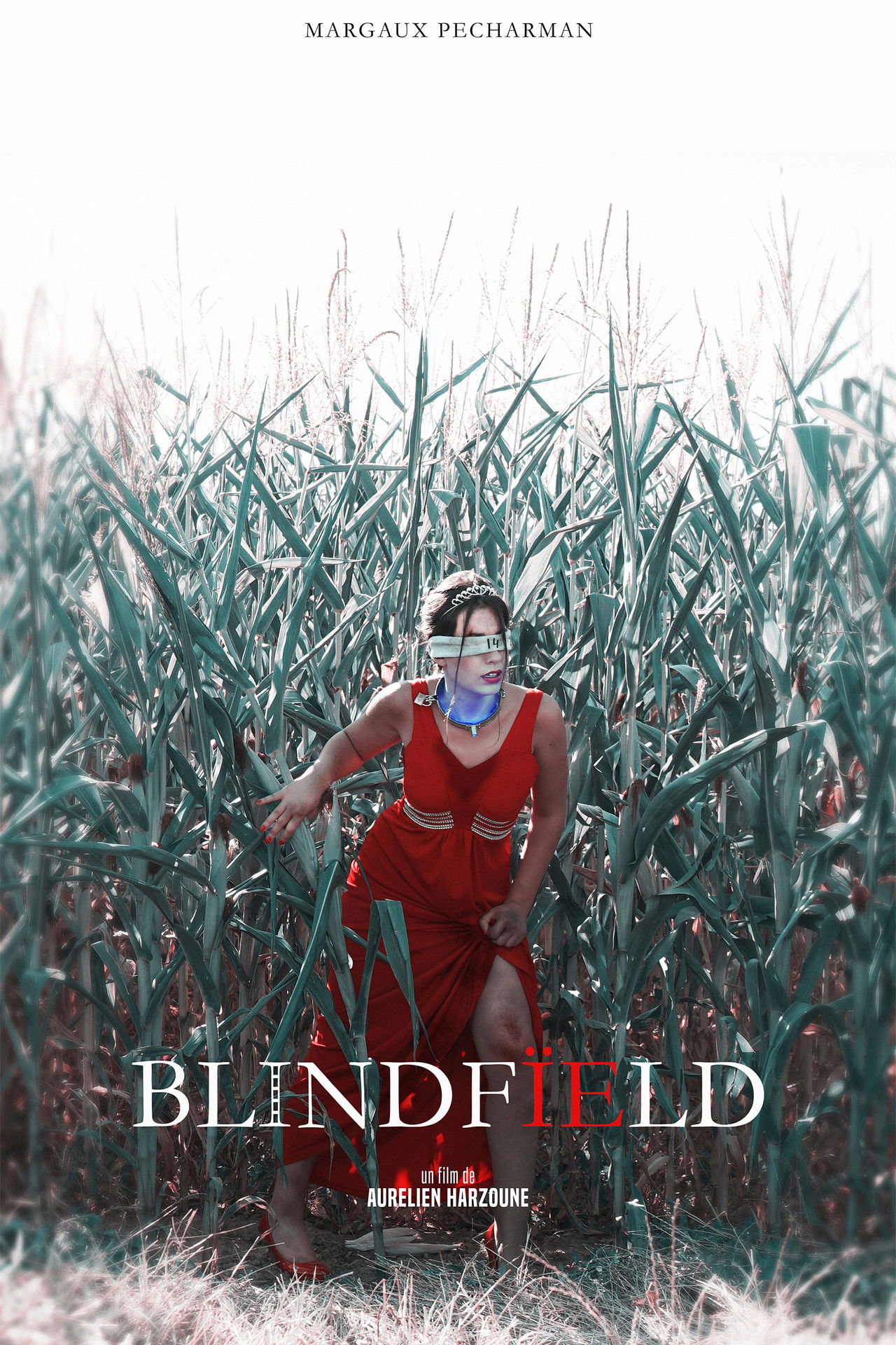 Blindfïeld Backdrop