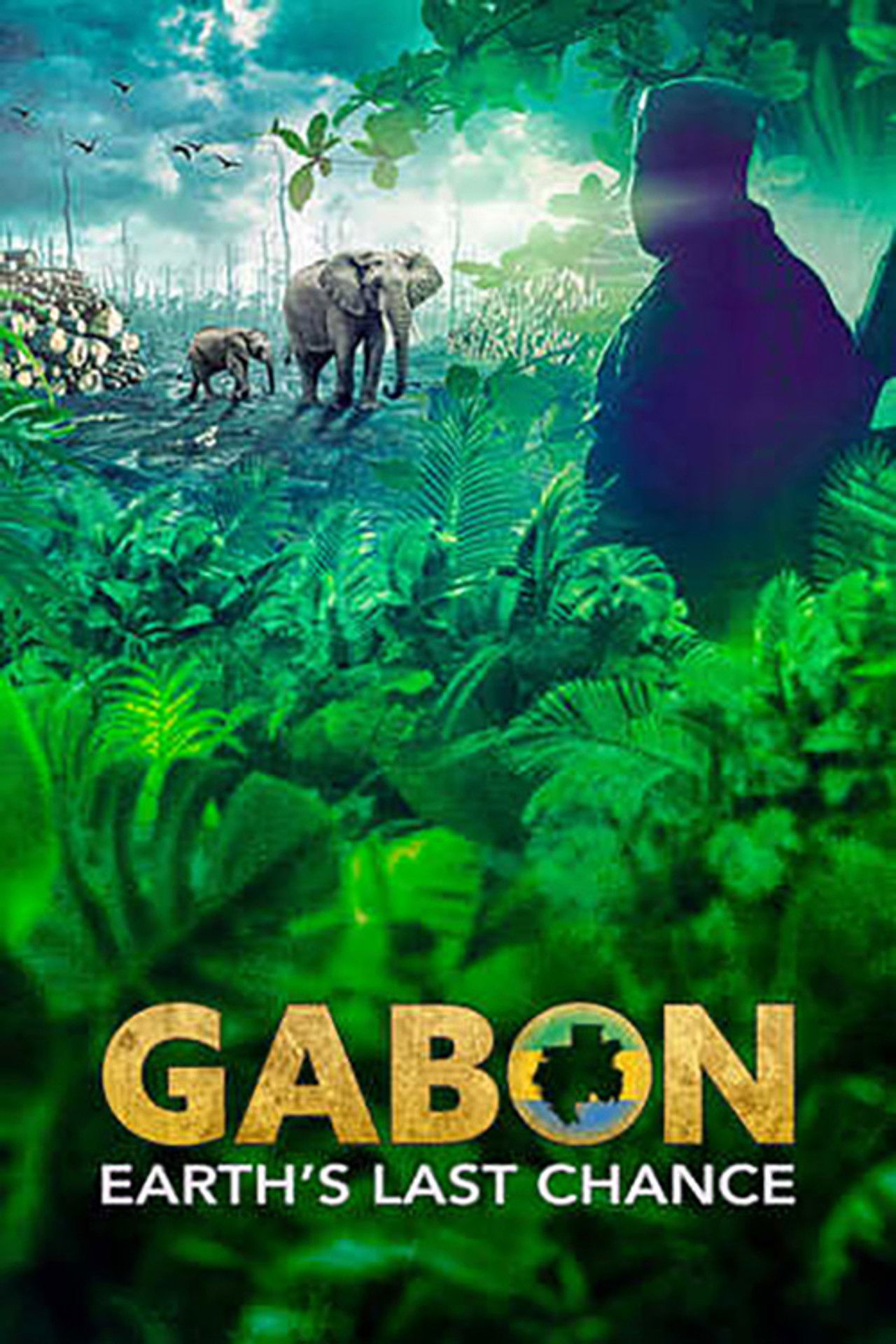 Gabon: Earth's Last Chance