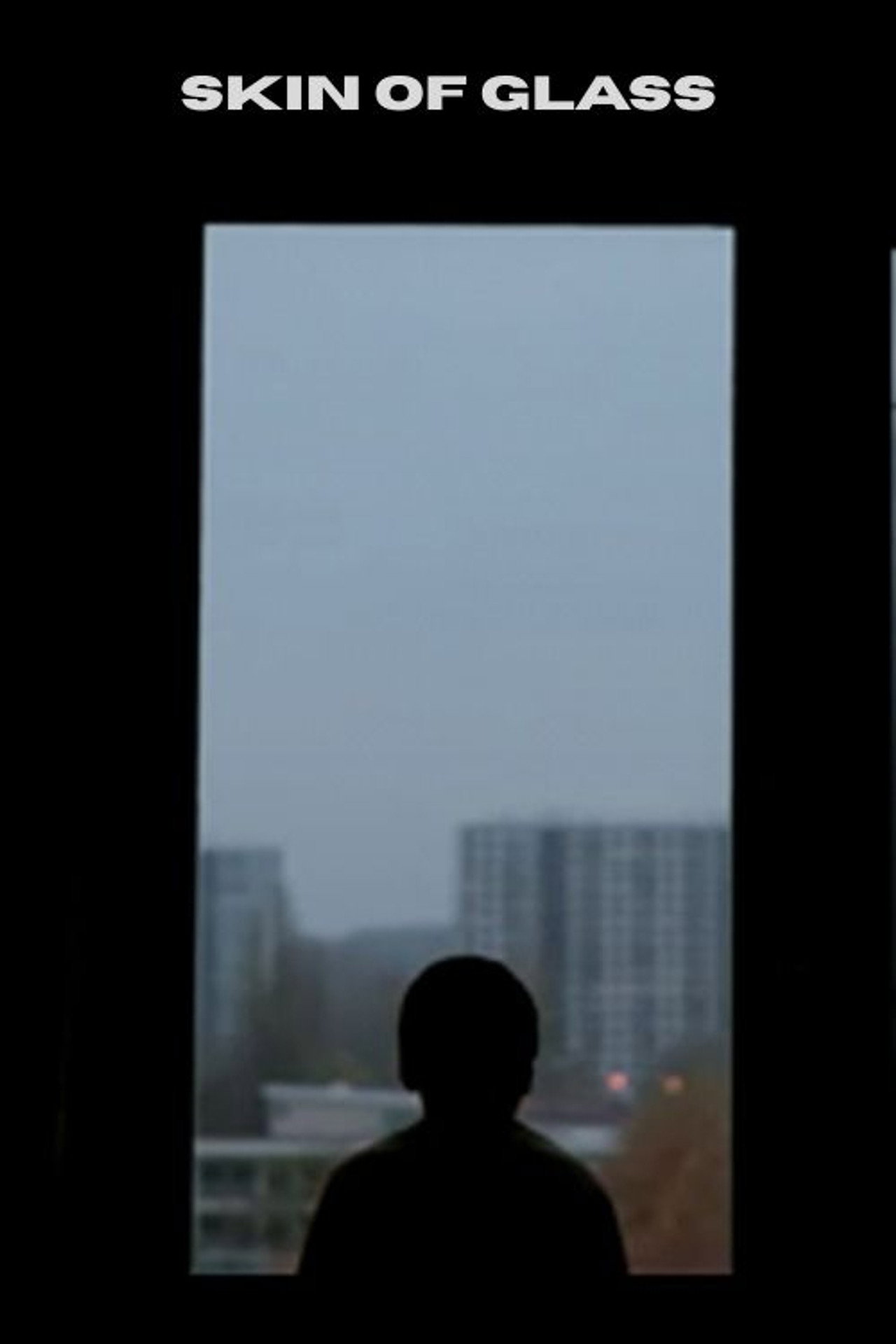 Huid van Glas filmaffisch