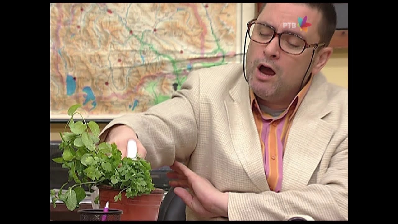 Government Job - Season 6 Episode 72 : 1007 Slatkiš