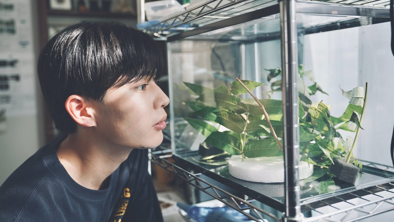 No Matter What, I Love You (2025)