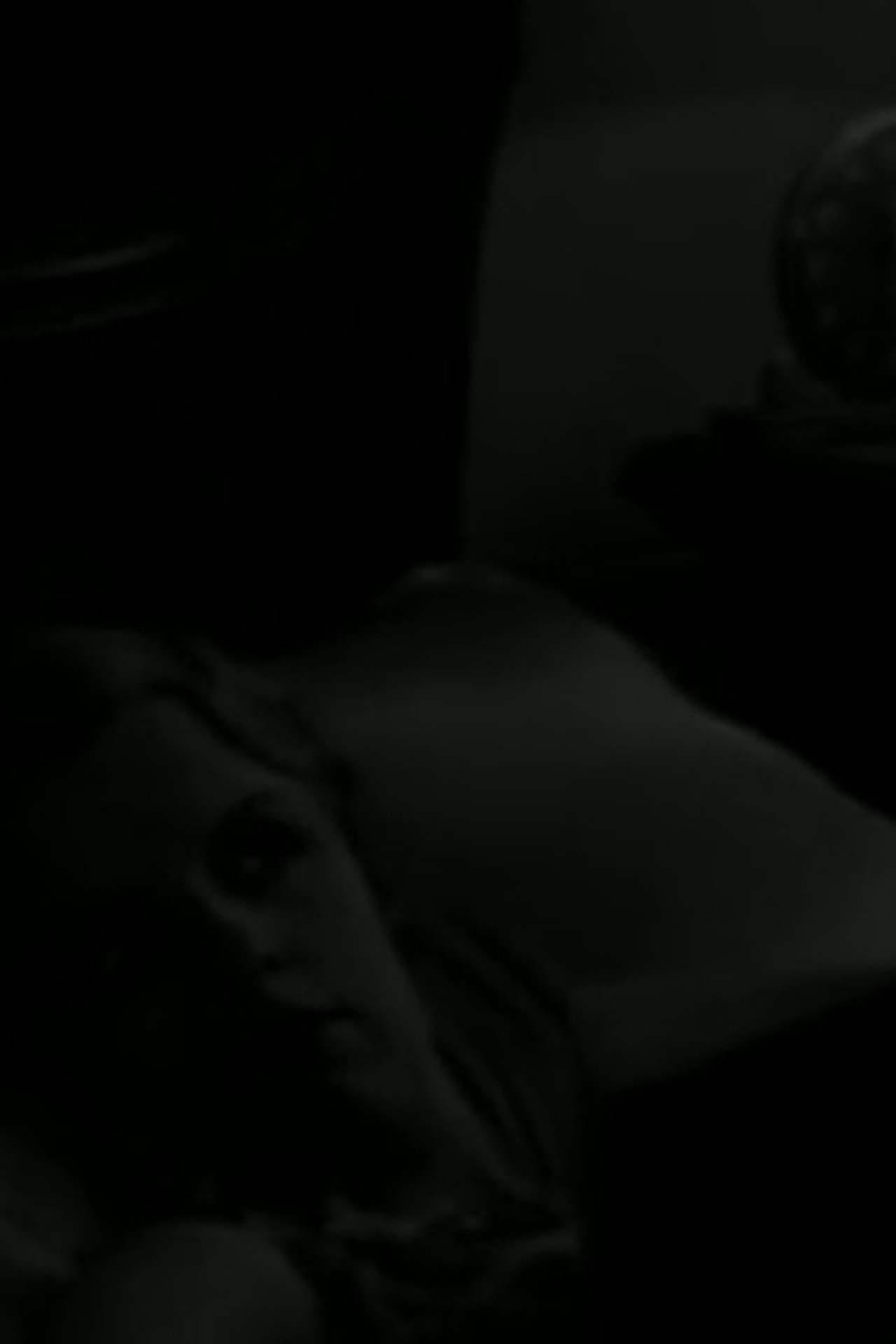 Sleepless Night