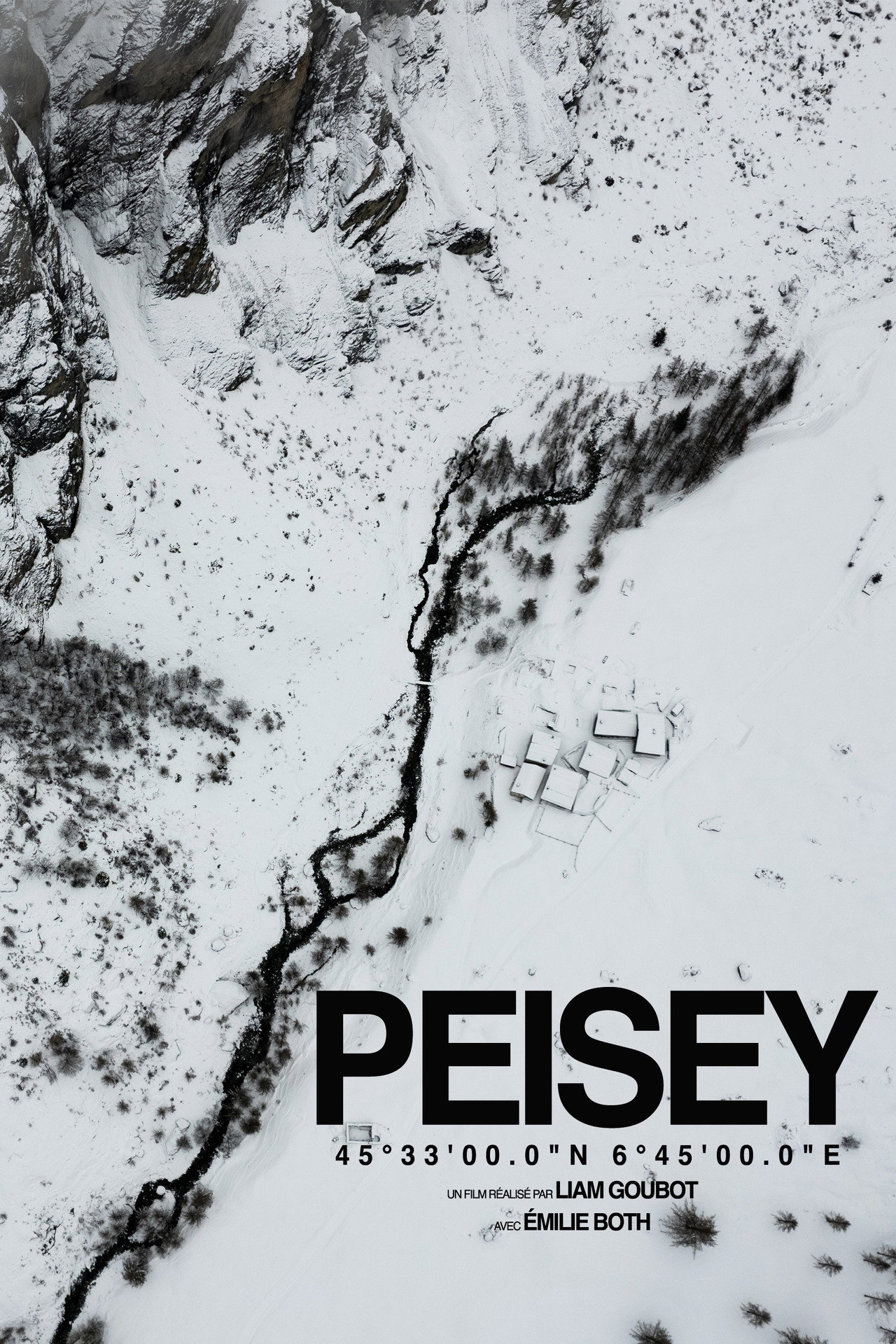 PEISEY poster