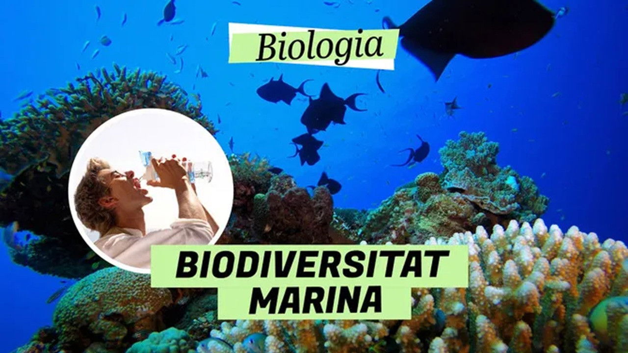 Biologia — Épisode 21