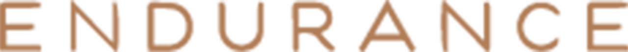 Endurance Media