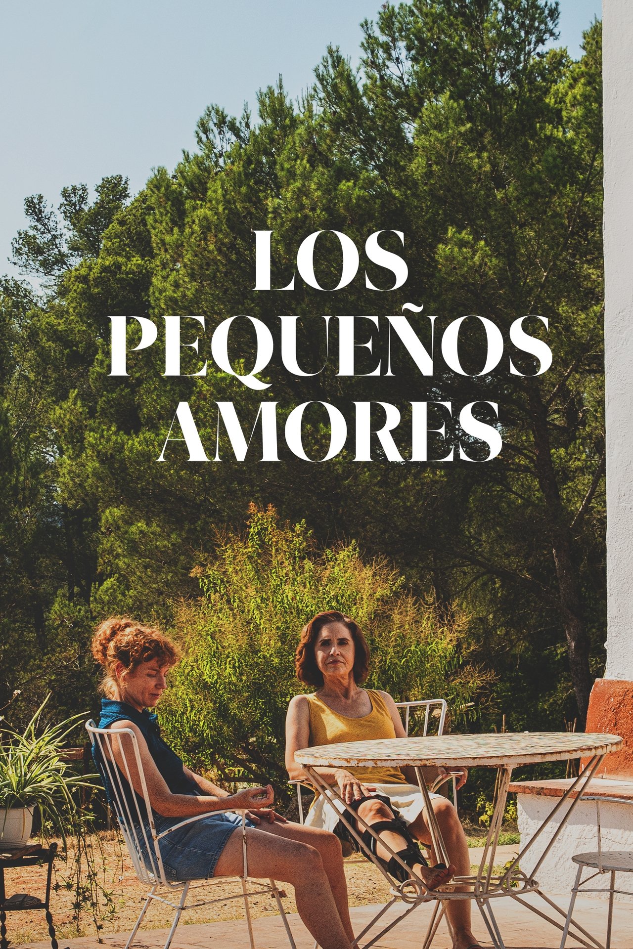 Los pequeños amores poster