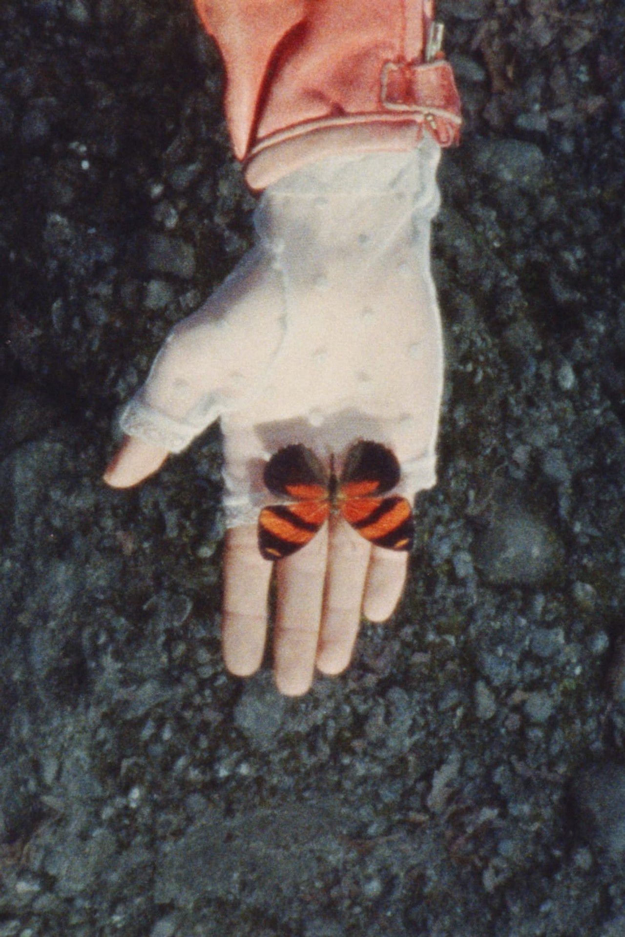 A Monster Called Love Backdrop