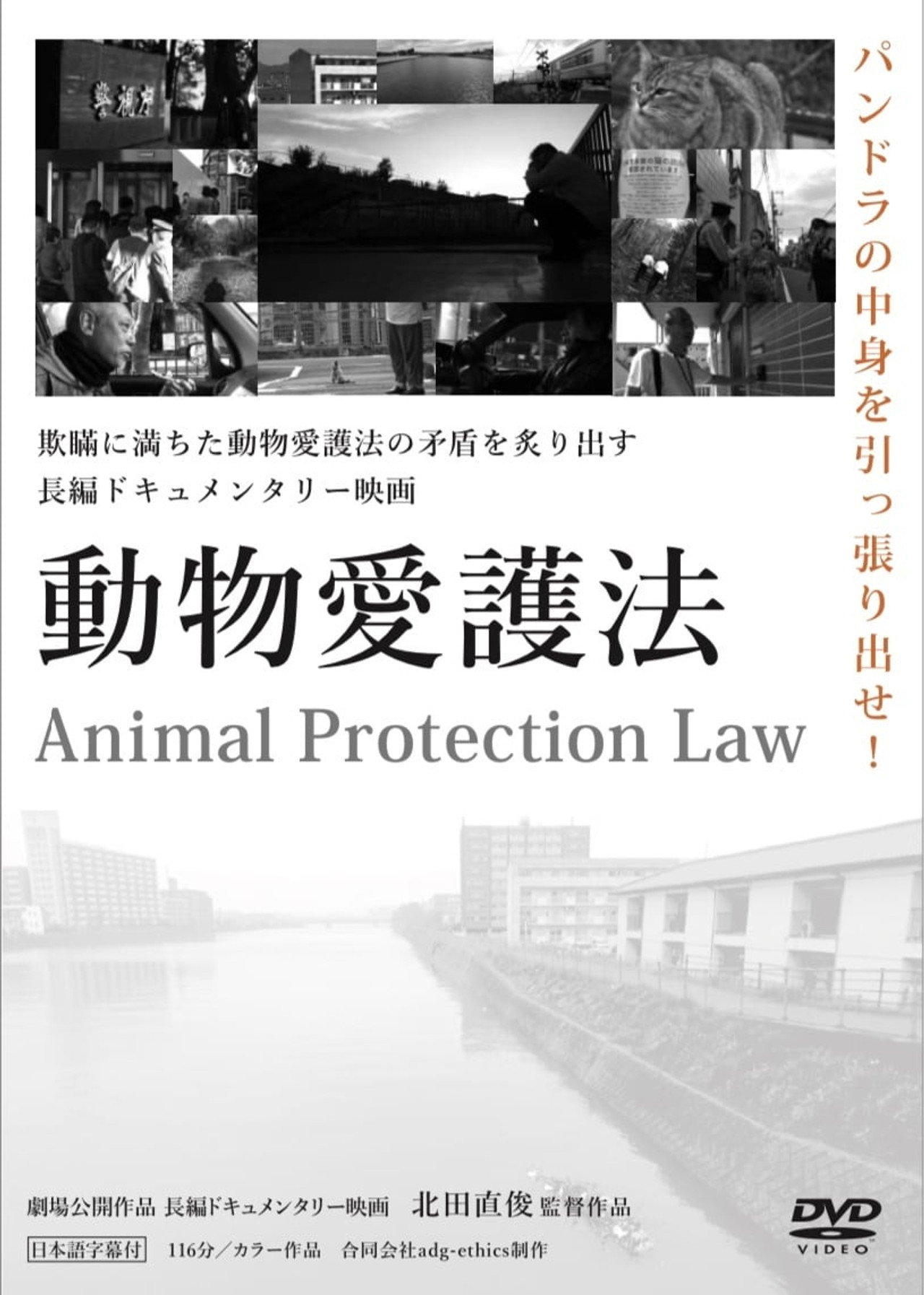 Animal Protection Law