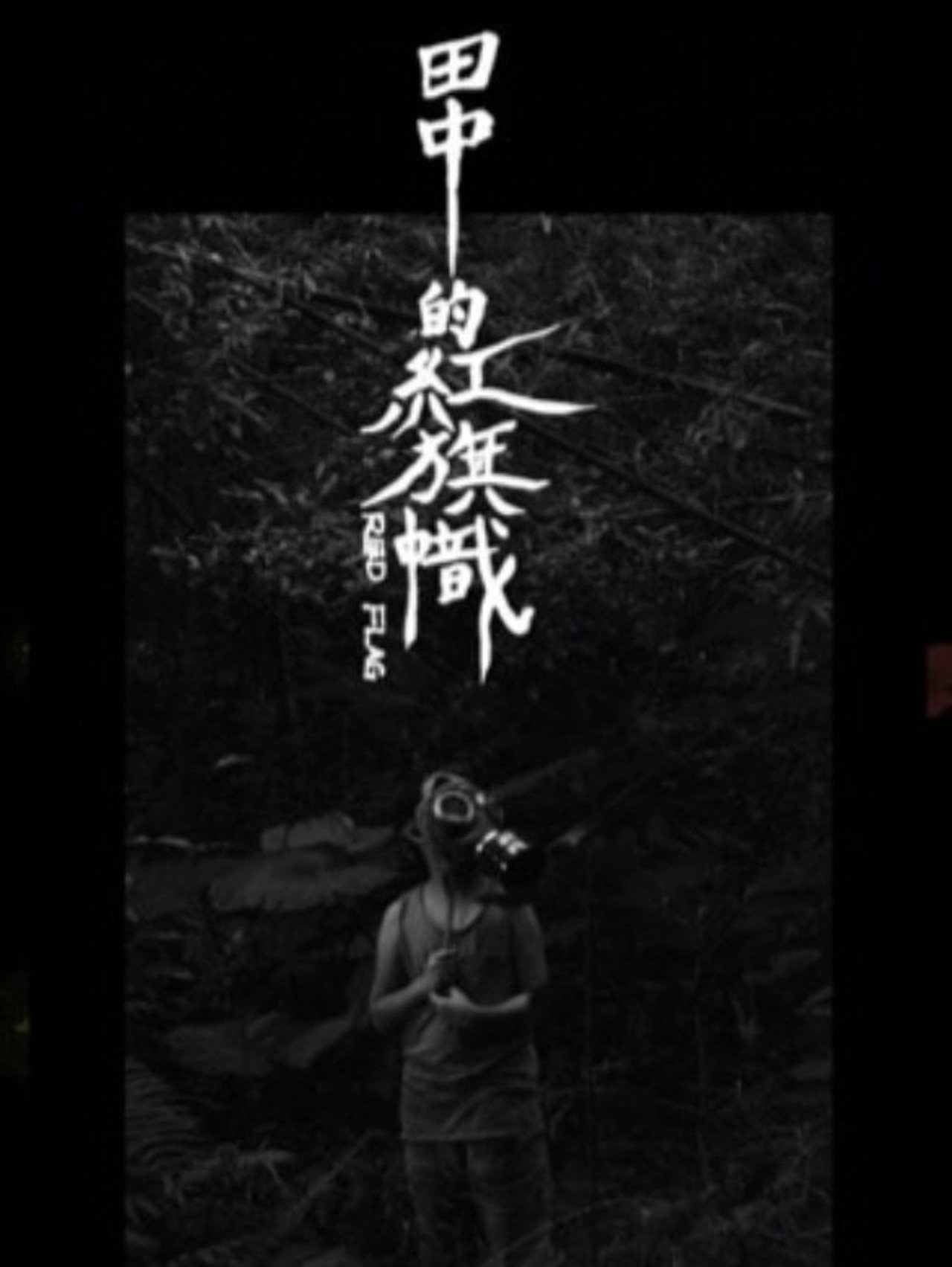 田中的紅旗幟 filmaffisch