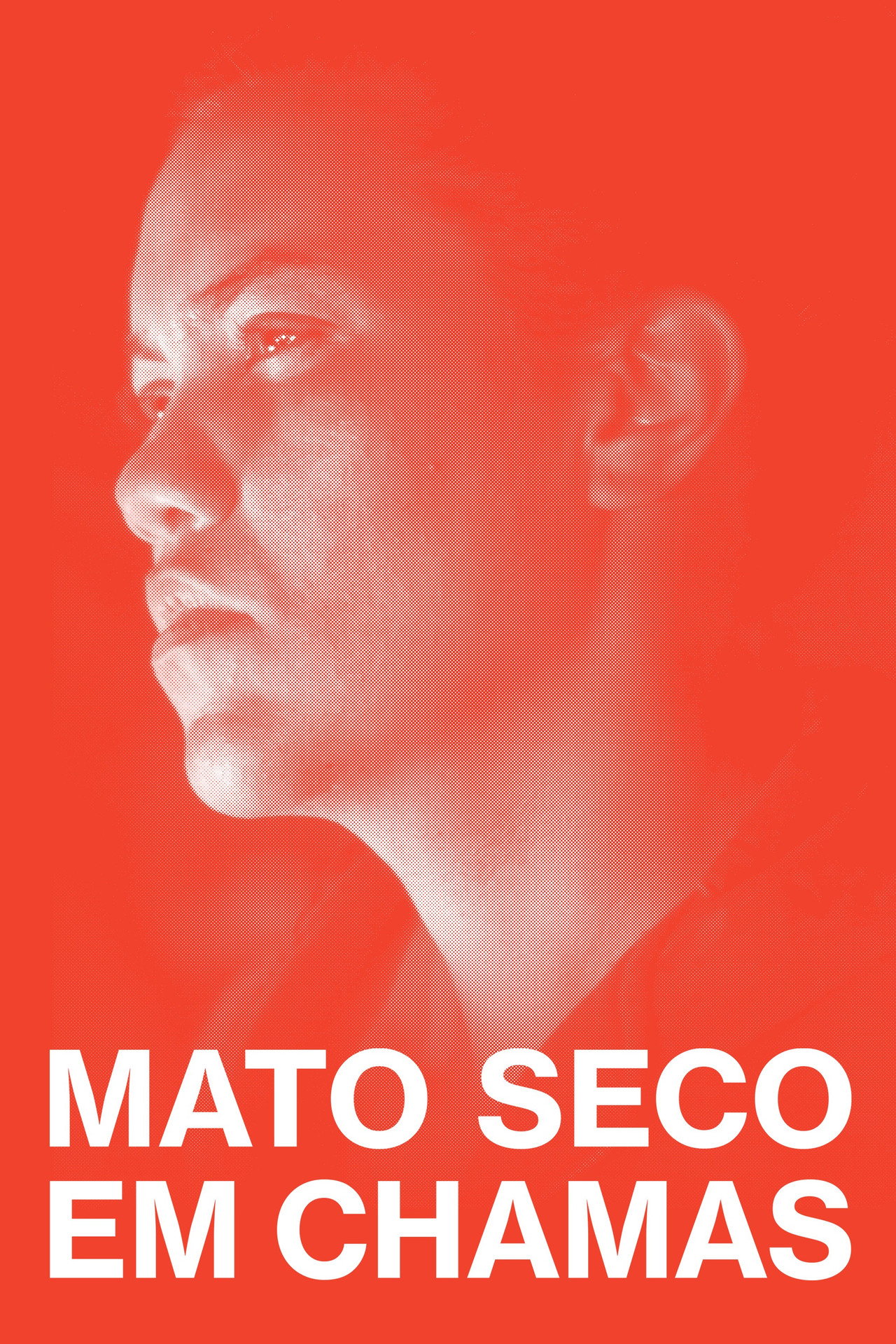 Mato Seco em Chamas filmaffisch