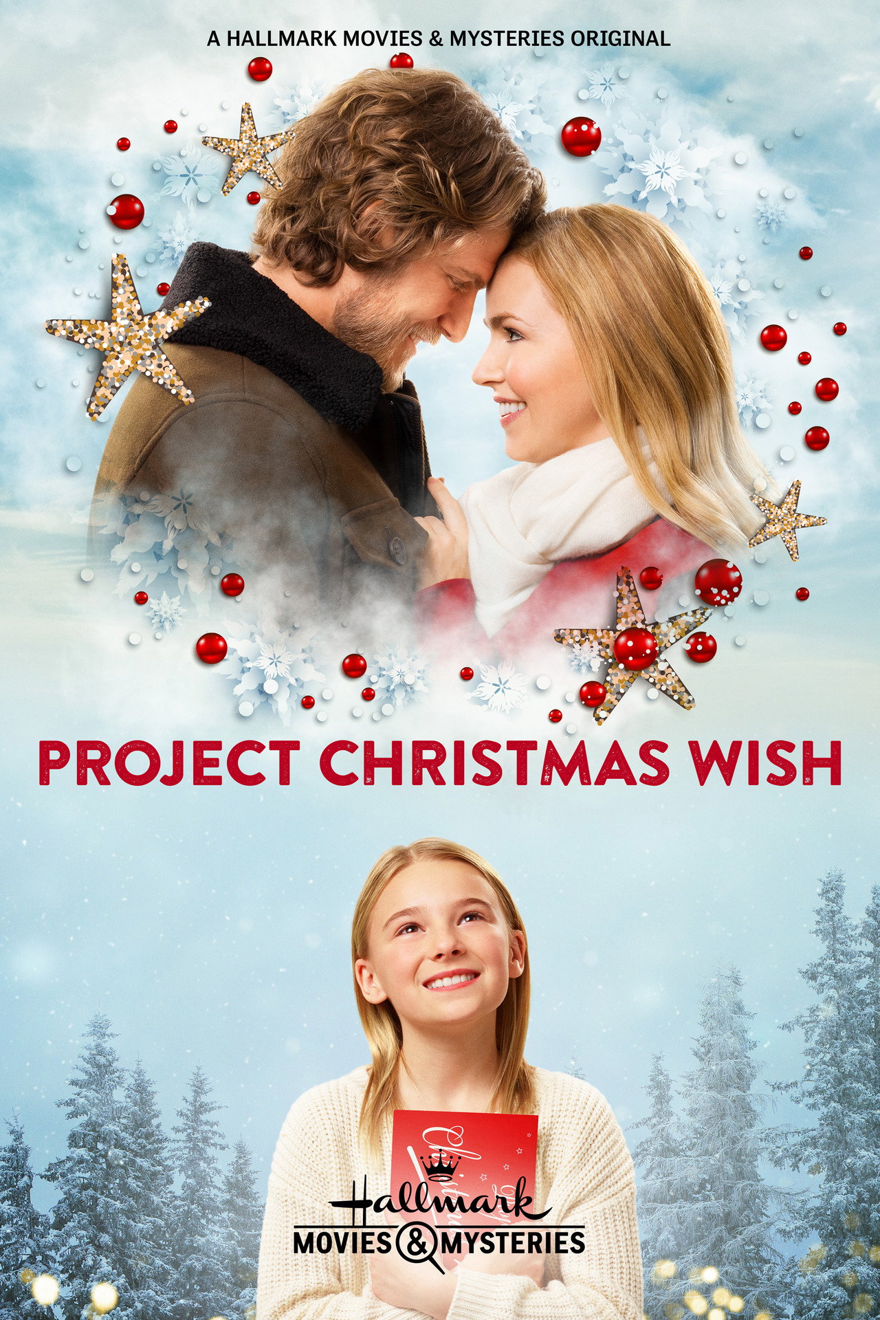 Project Christmas Wish afişi