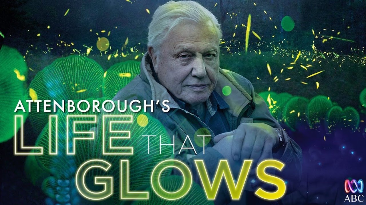 Attenborough's Life That Glows background