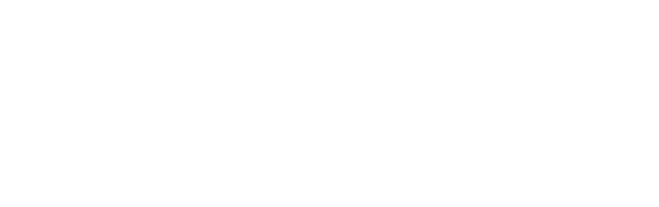 Попутчик