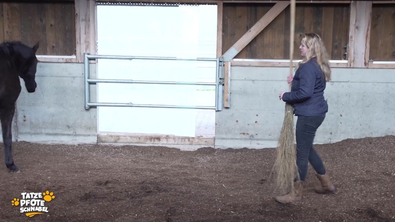 Tatze, Pfote, Schnabel - Season 2 Episode 3 : Episode 3