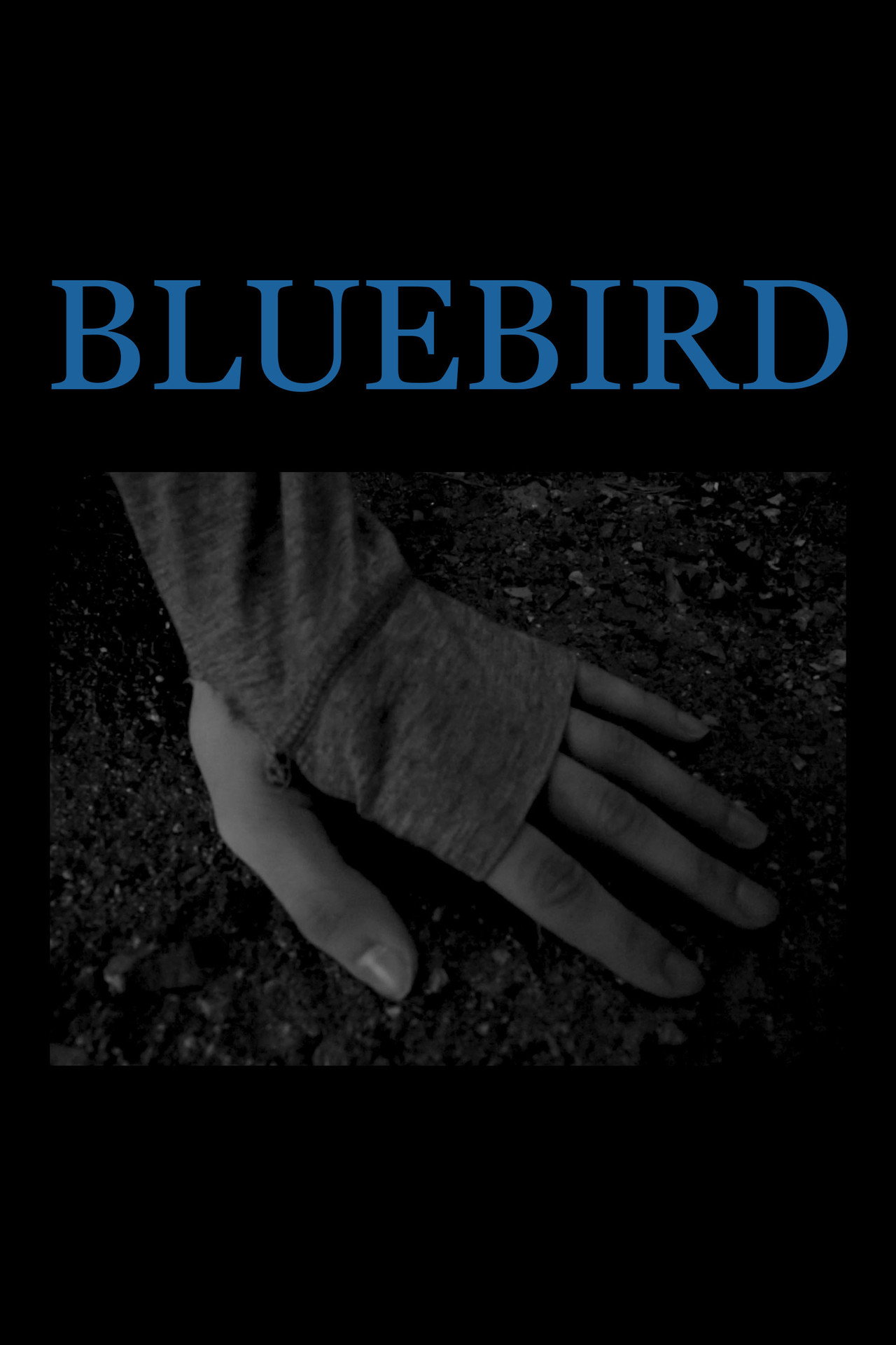 Bluebird filmaffisch