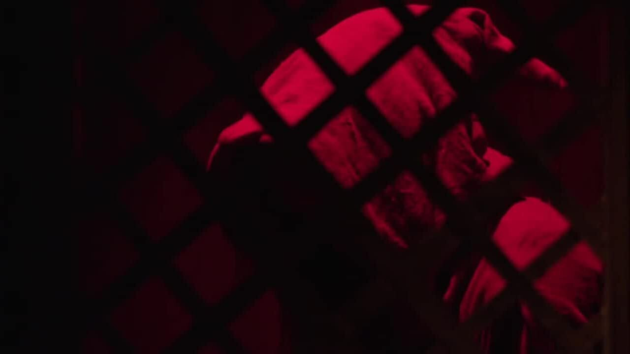 Dark Sister