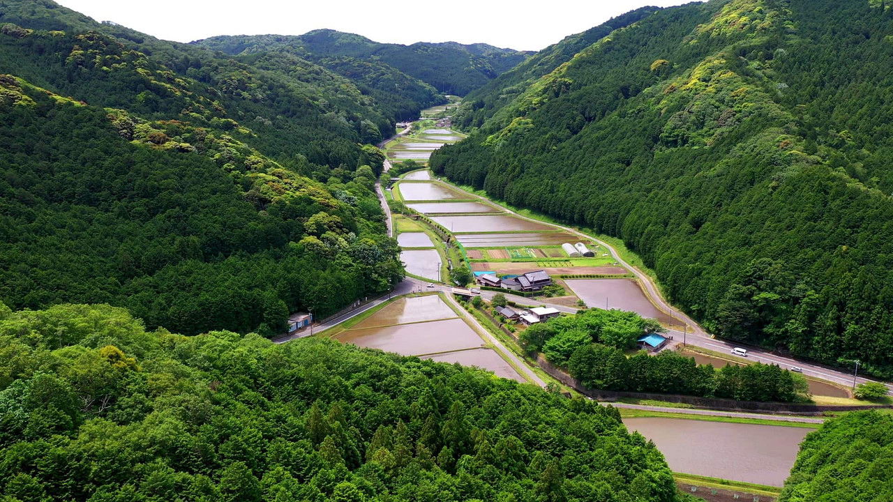 小さな旅 — Épisode 476