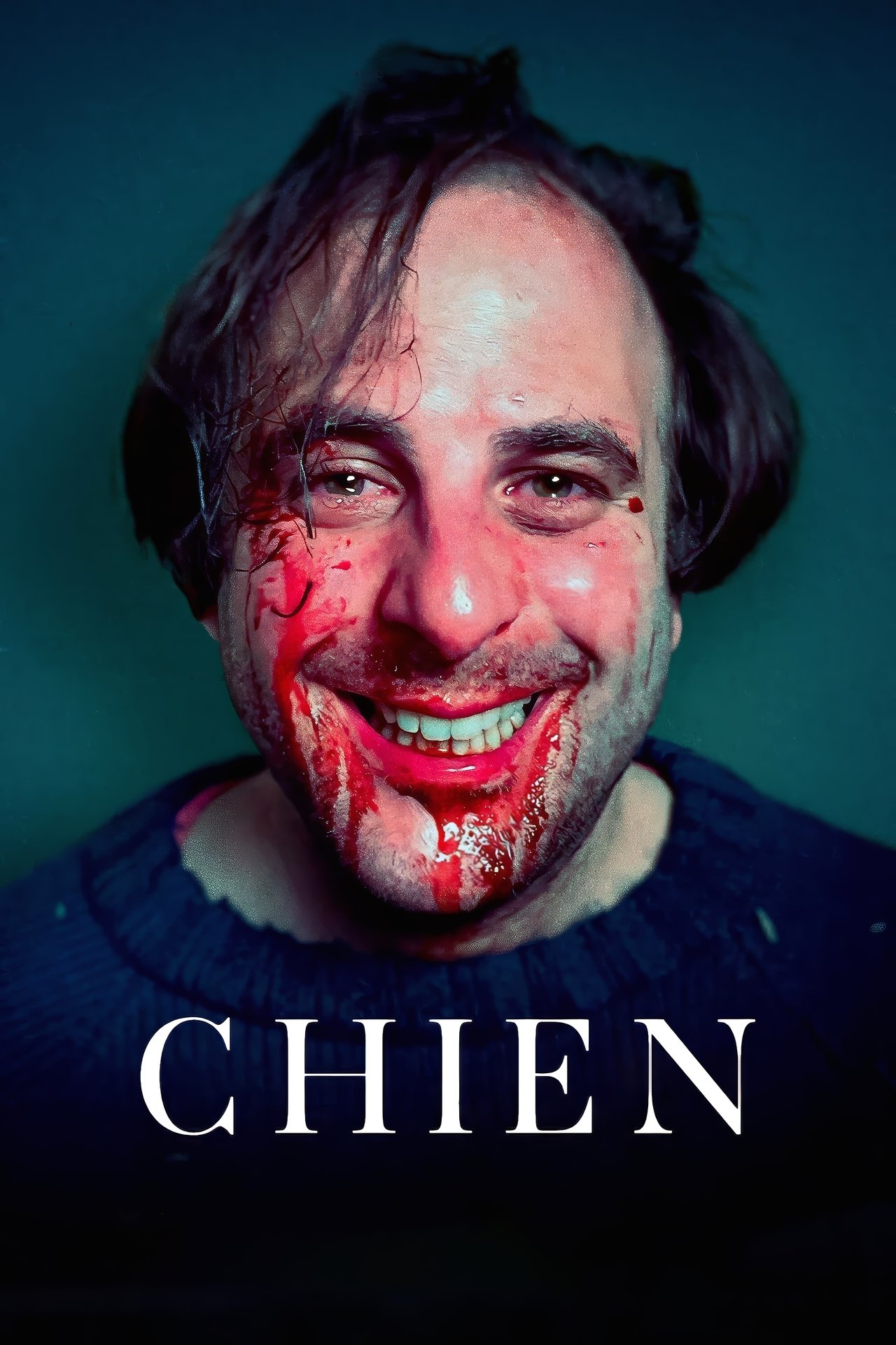 Chien poster