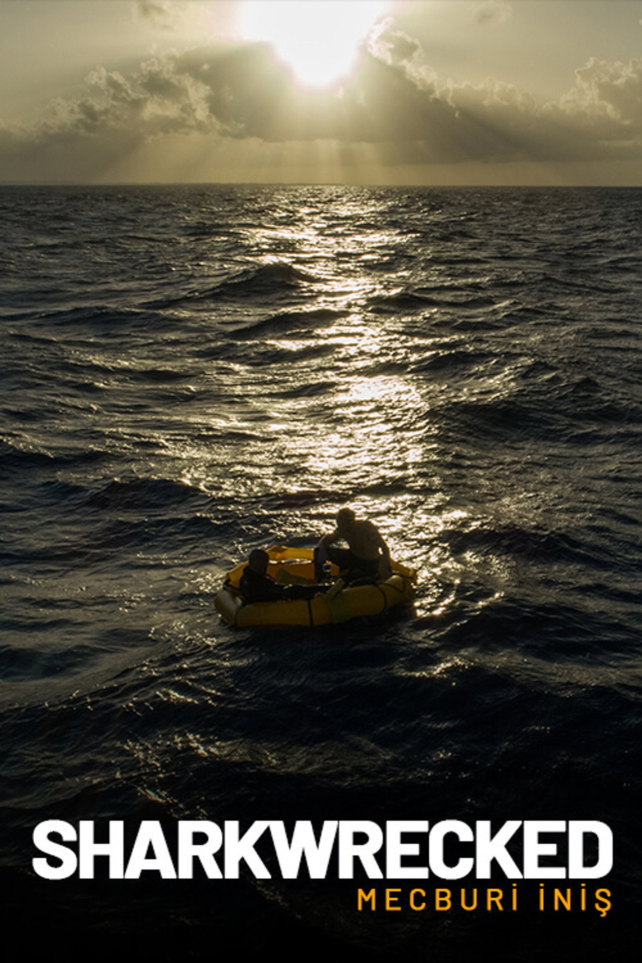 Sharkwrecked: Crash Landing