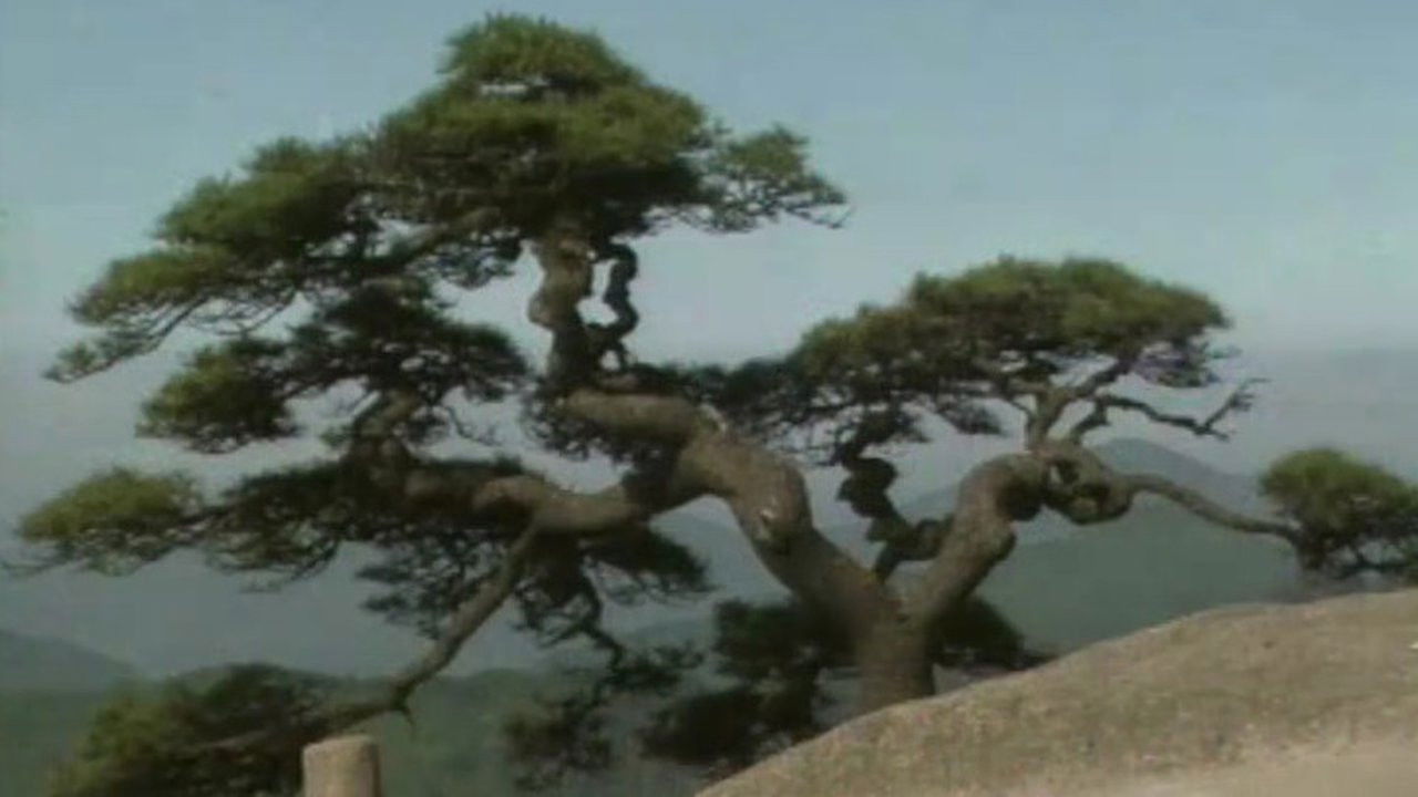 大江南北 — Épisode 15