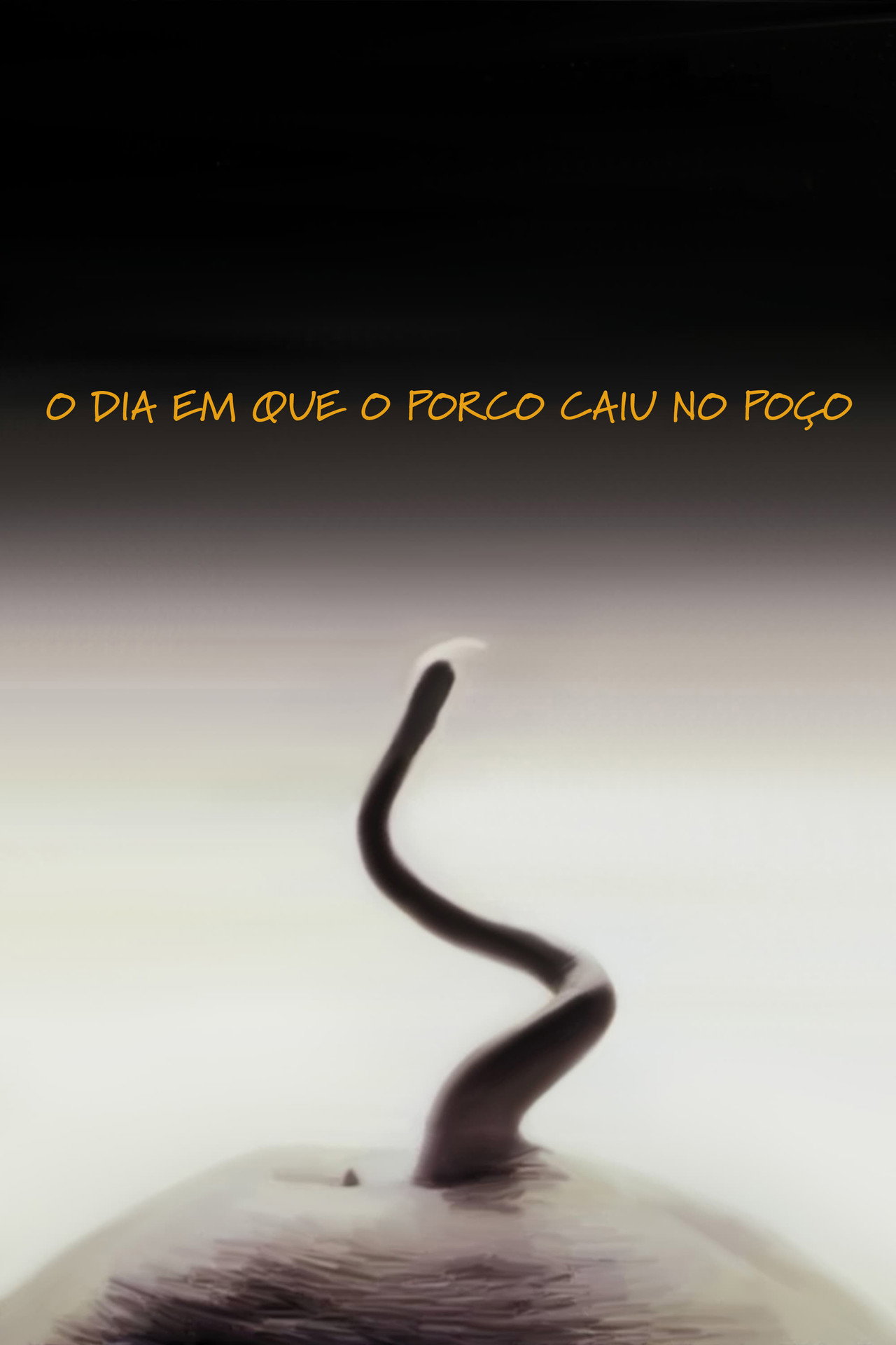 Pôster de O Dia em Que o Porco Caiu no Poço