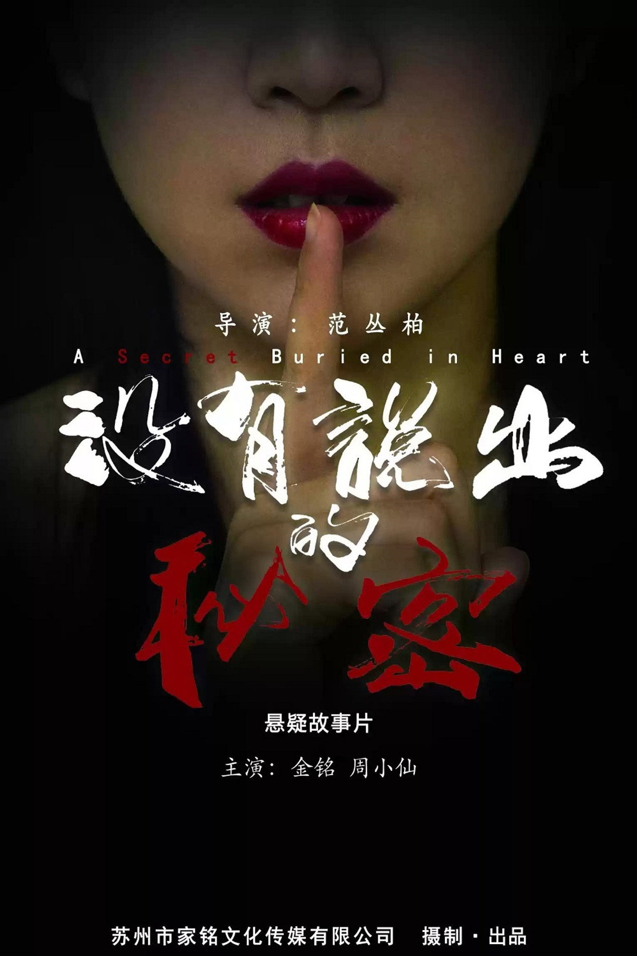 没有说出的秘密 filmaffisch