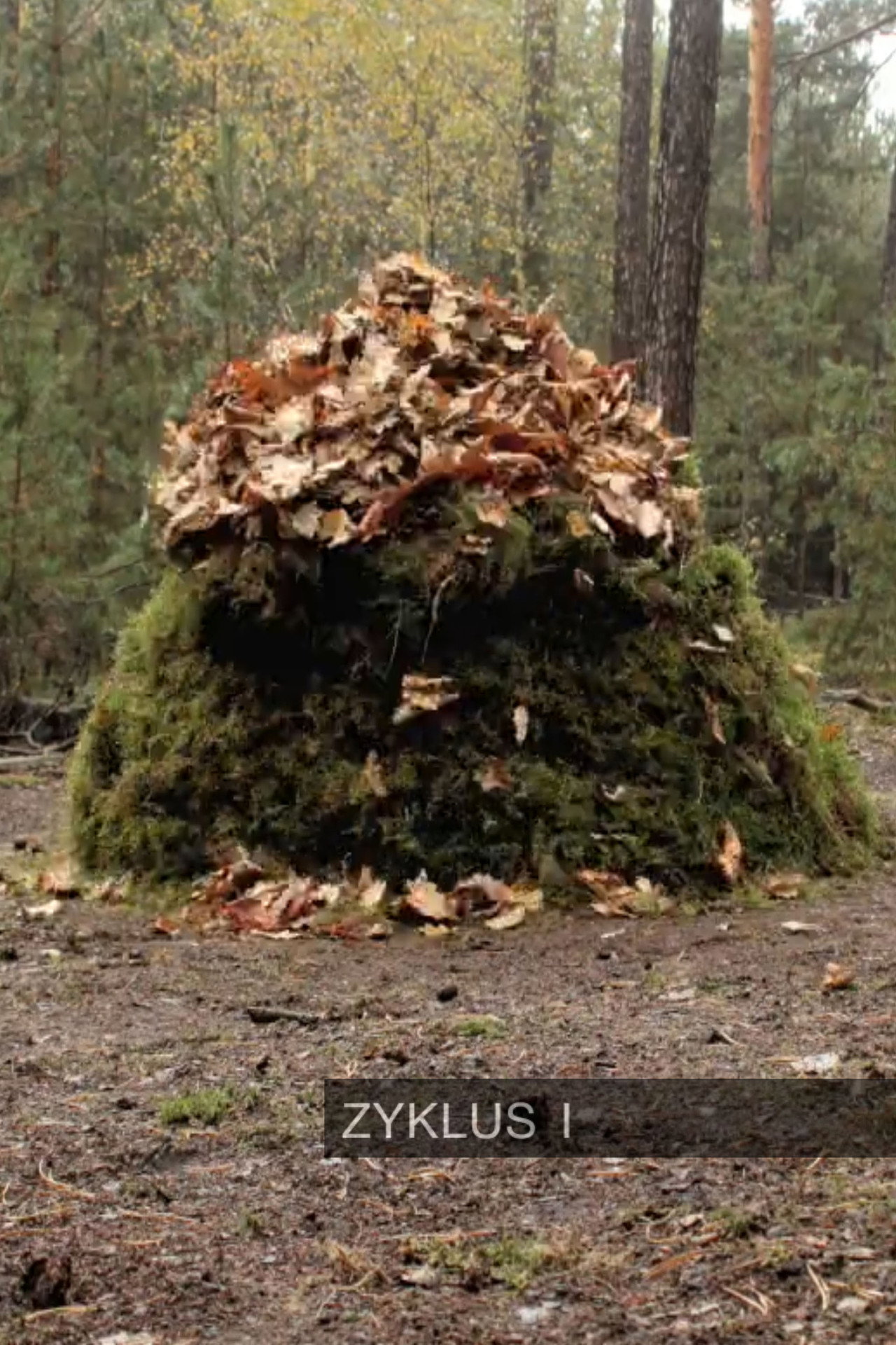 Zyklus I filmaffisch