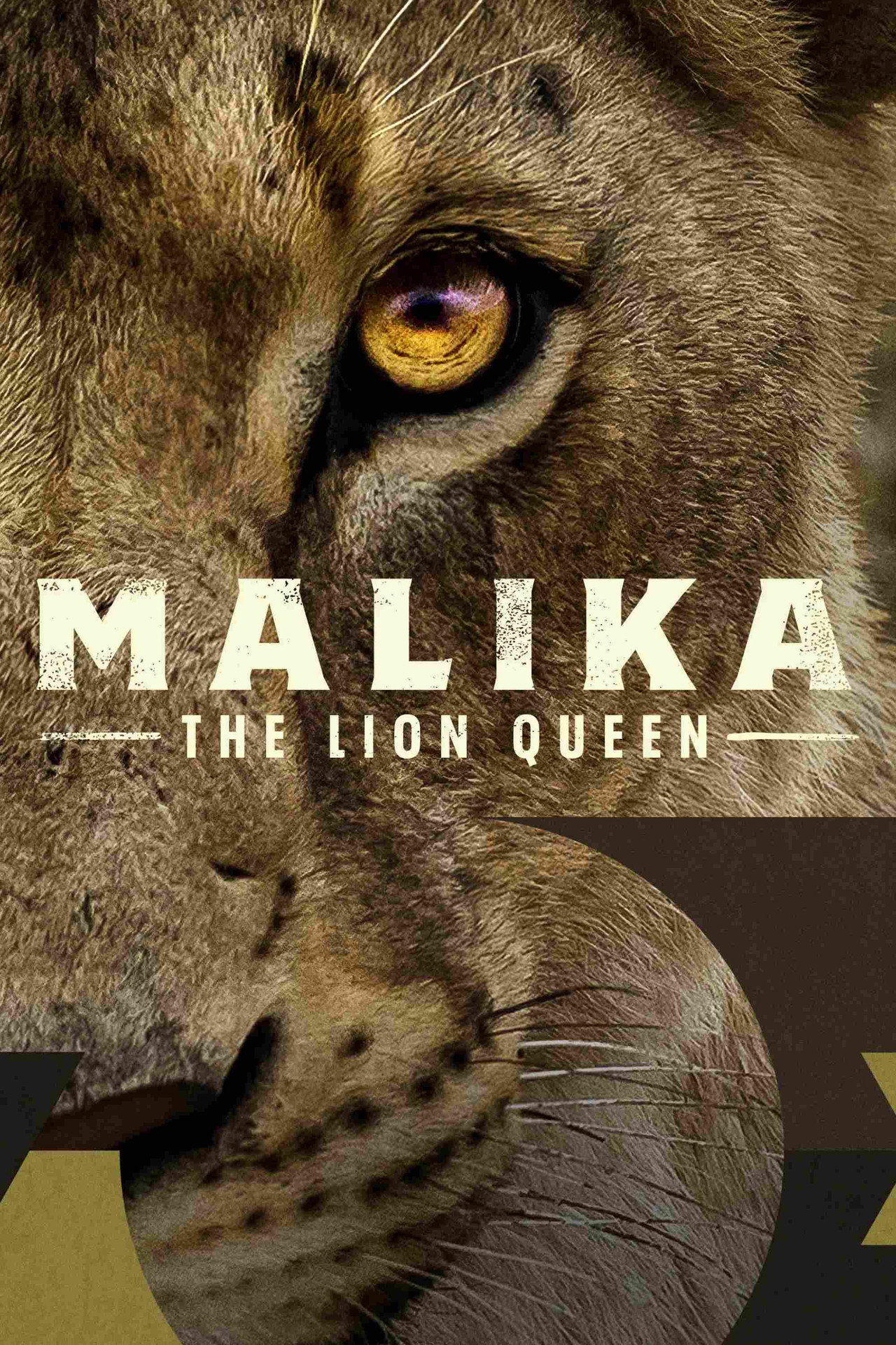 Malika: Az oroszlánkirálynő – plakát 5