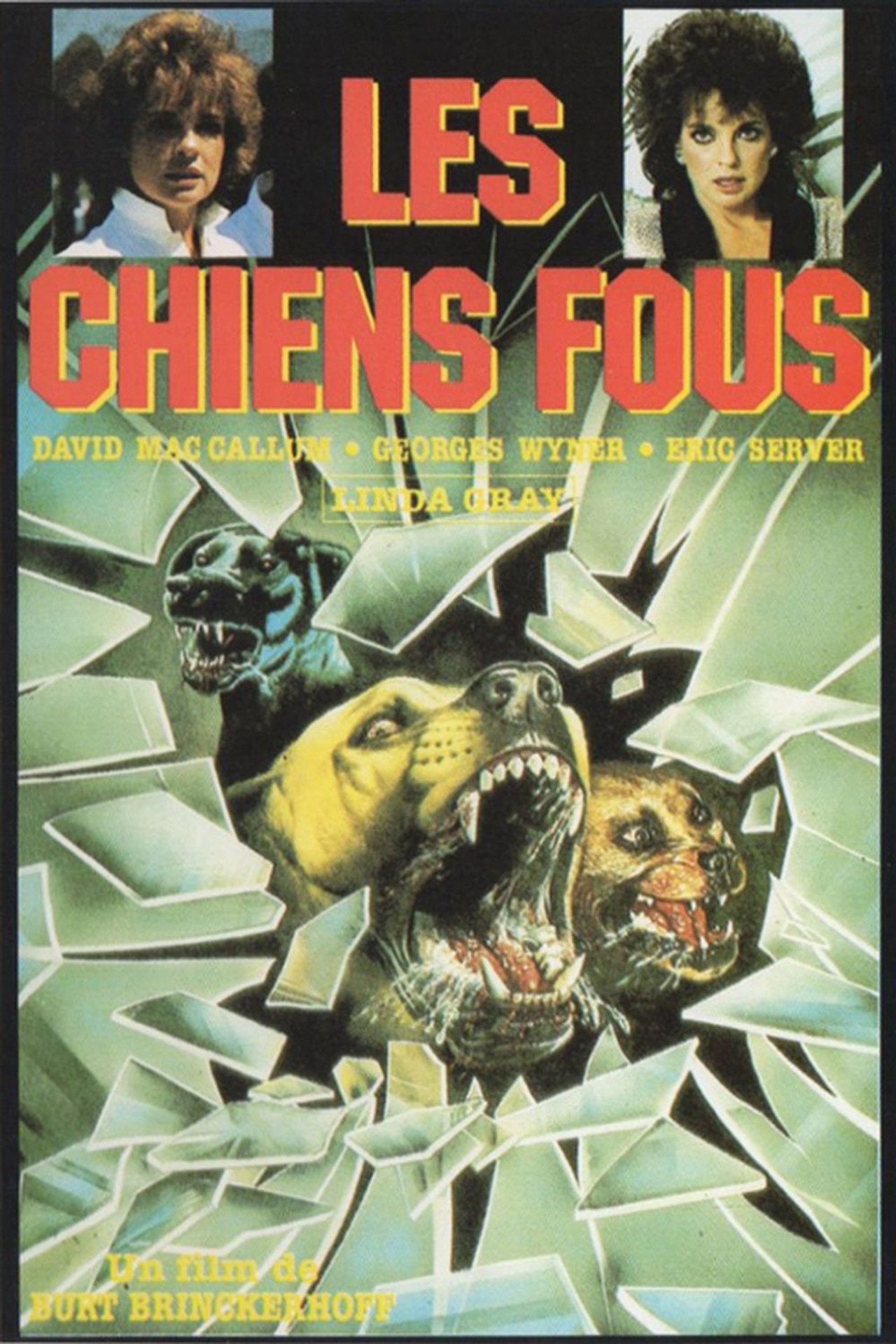 Les chiens fous
