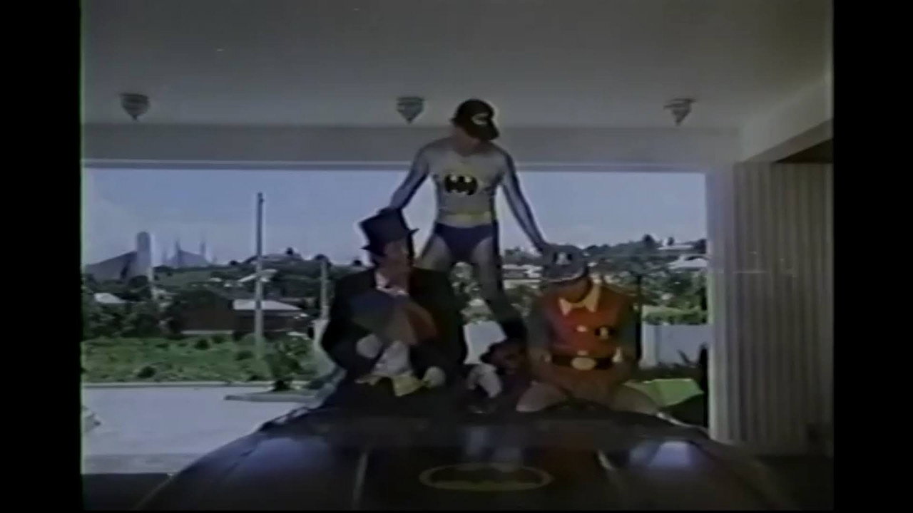 Alias Batman and Robin backdrop