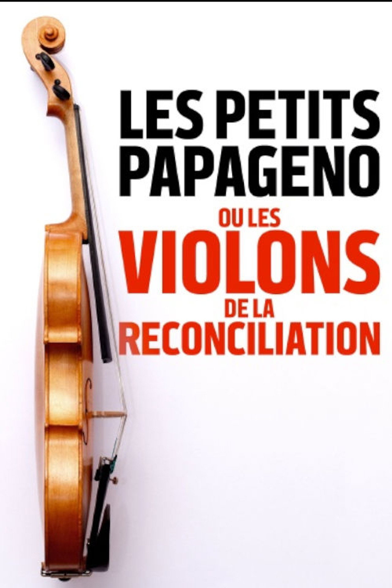 Les petits Papageno ou les violons de la réconciliation filmaffisch