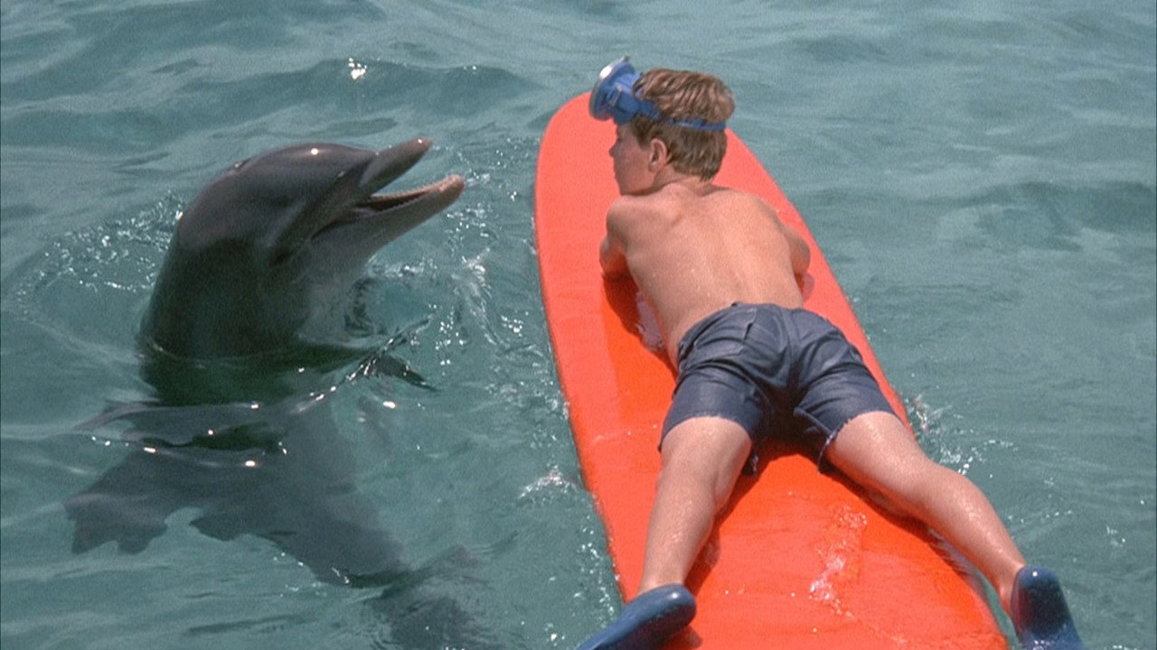 Flipper backdrop