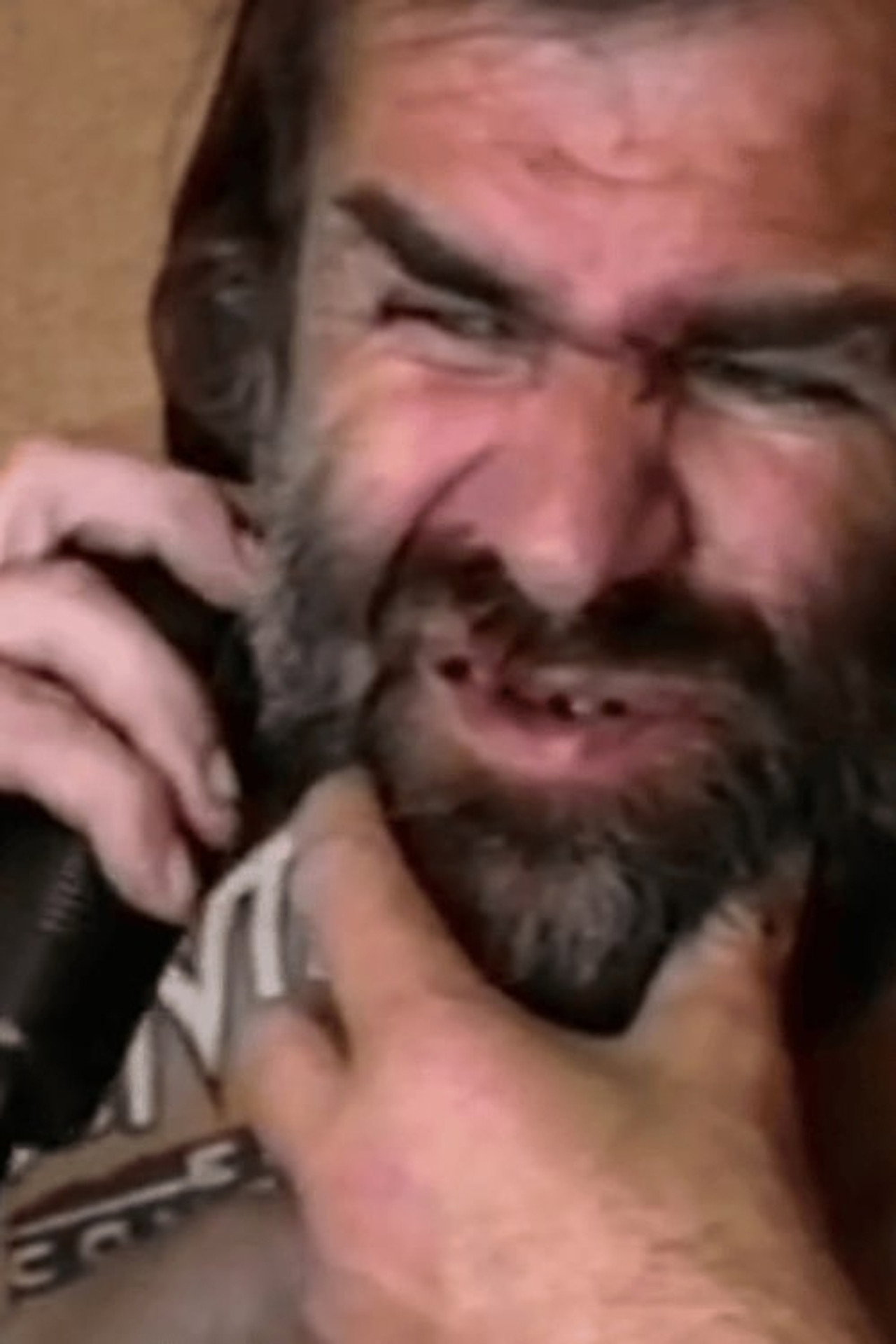 La Guerre des Poils filmaffisch