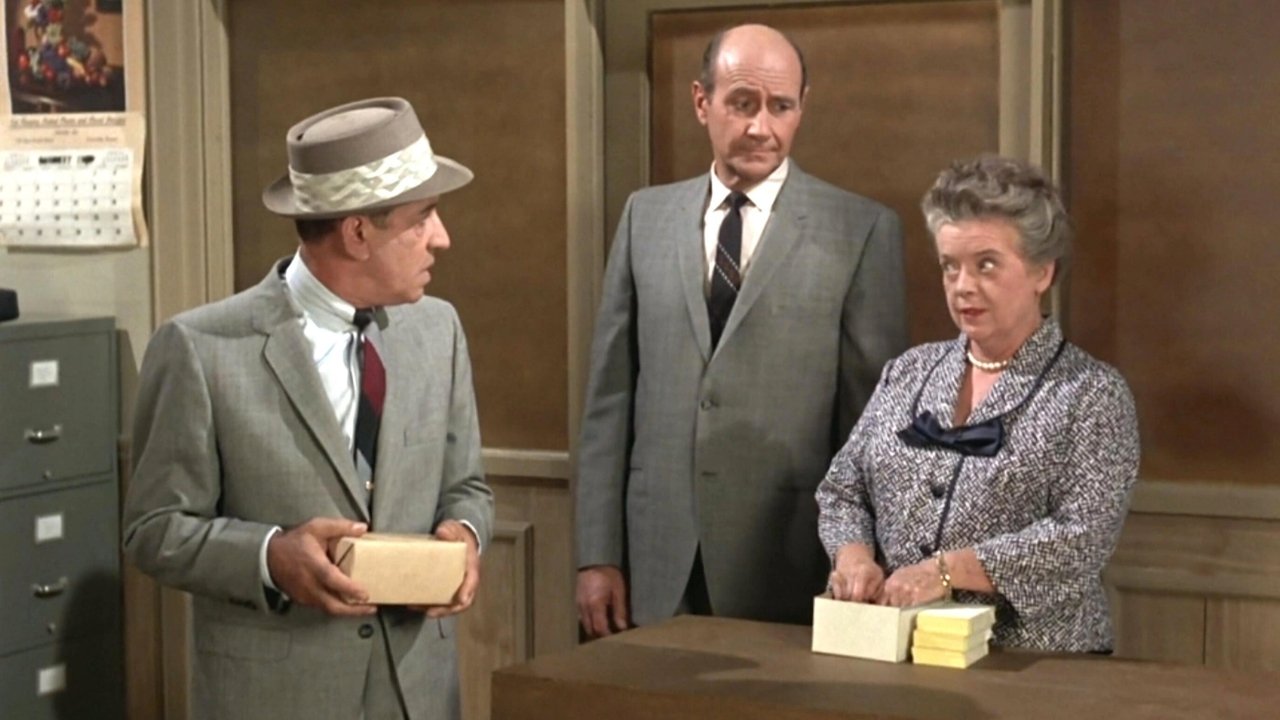 The Andy Griffith Show - Season 6 Episode 13 : Aunt Bee Takes a Job