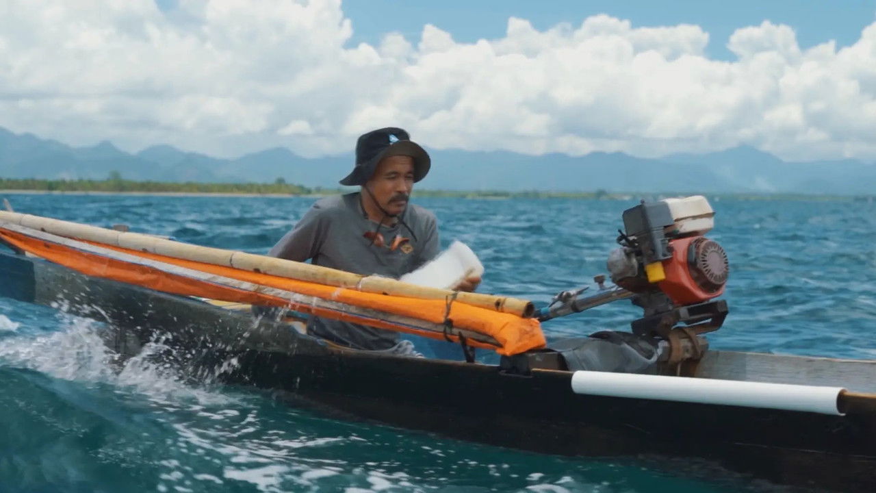 Torosiaje: The Bajou, The Sea, and The Future