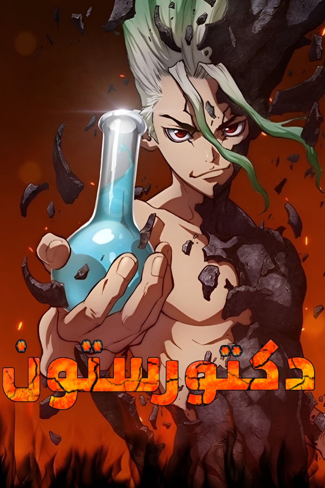 دكتور ستون Poster