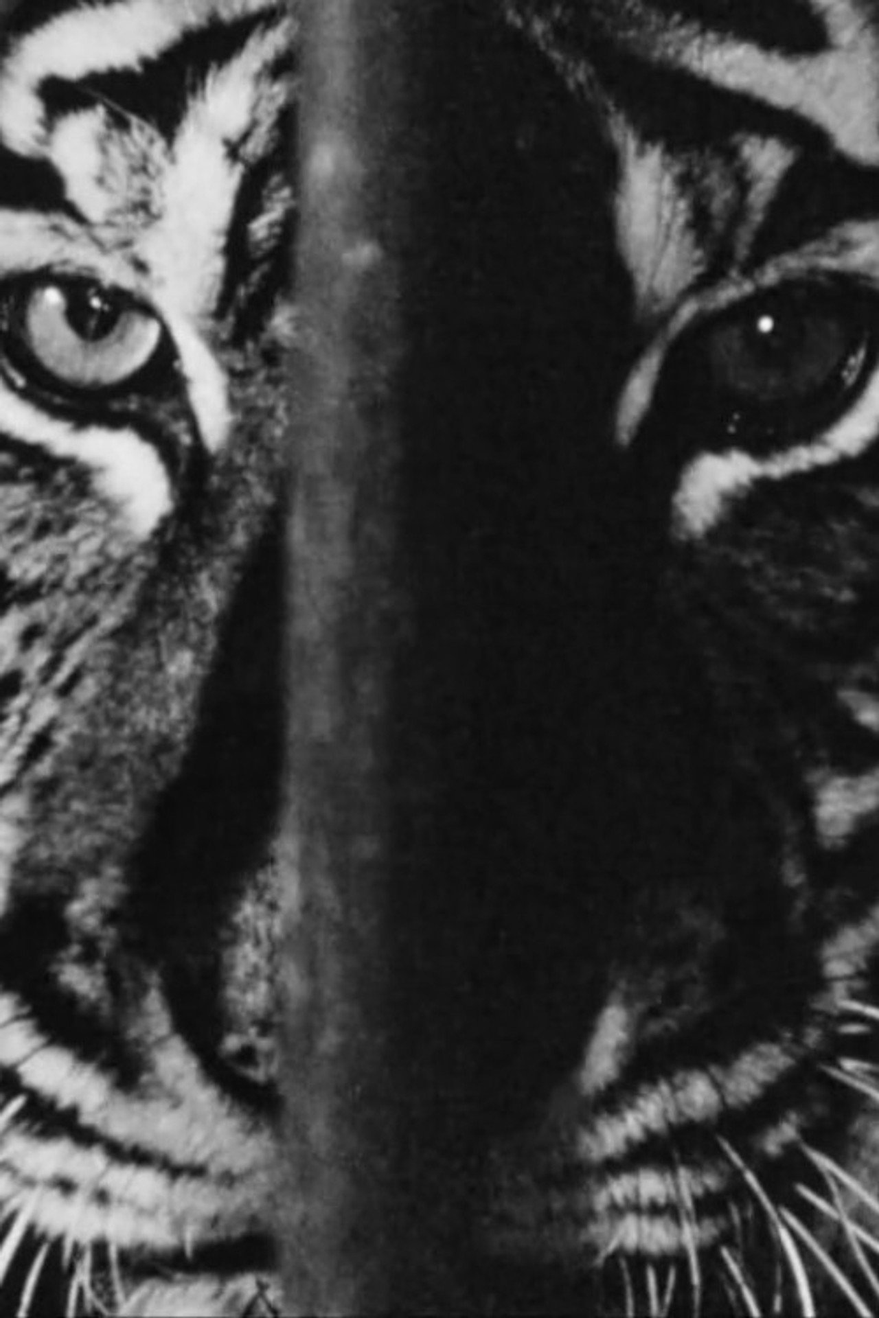 Marguerite Duras in the Lions' Den
