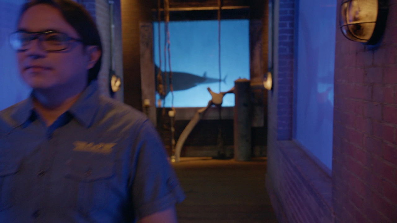 Shark Tank México — Épisode 7