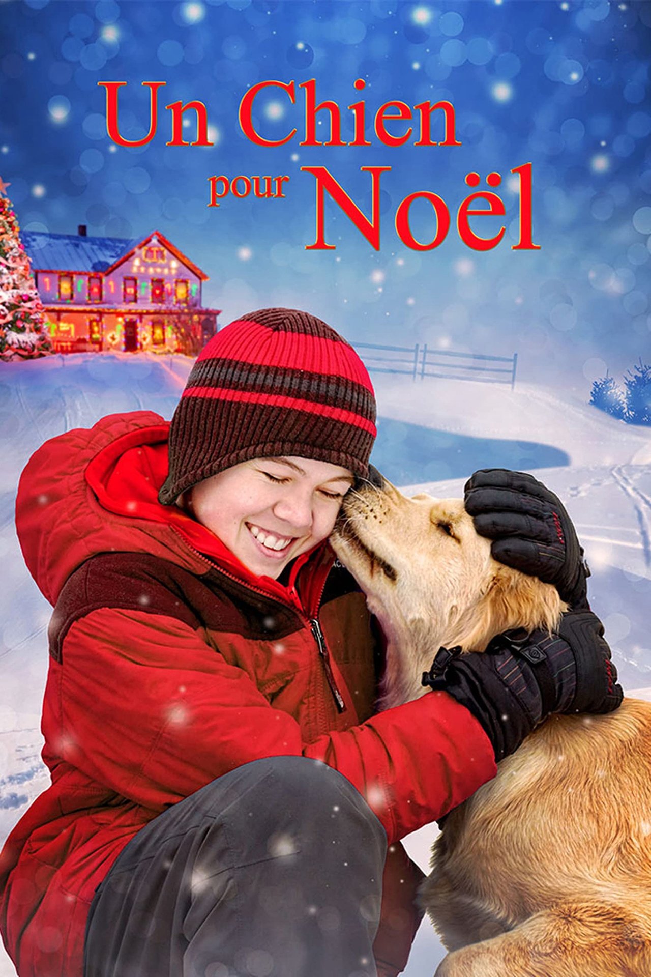 Un chien pour Noël poster